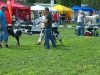 copy2of100_3063