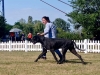 294326450_5437464829610380_4914515520370605746_n