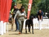 DSCN4679