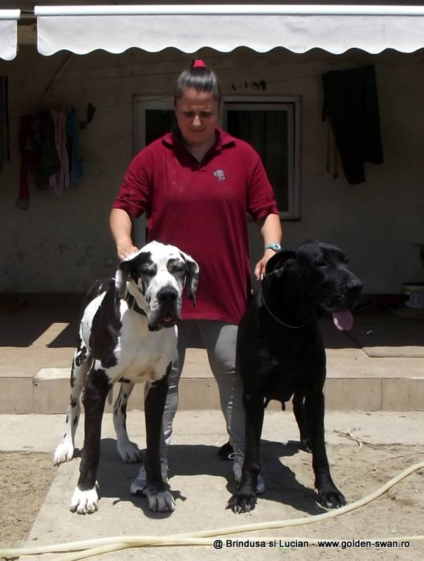 APOLLO-10-ANI-RENNE-5-ANI