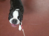 IMG-20251014-WA0008