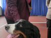 IMG-20251014-WA0015