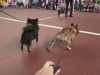 IMG-20251014-WA0017