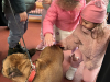 IMG-20251014-WA0033